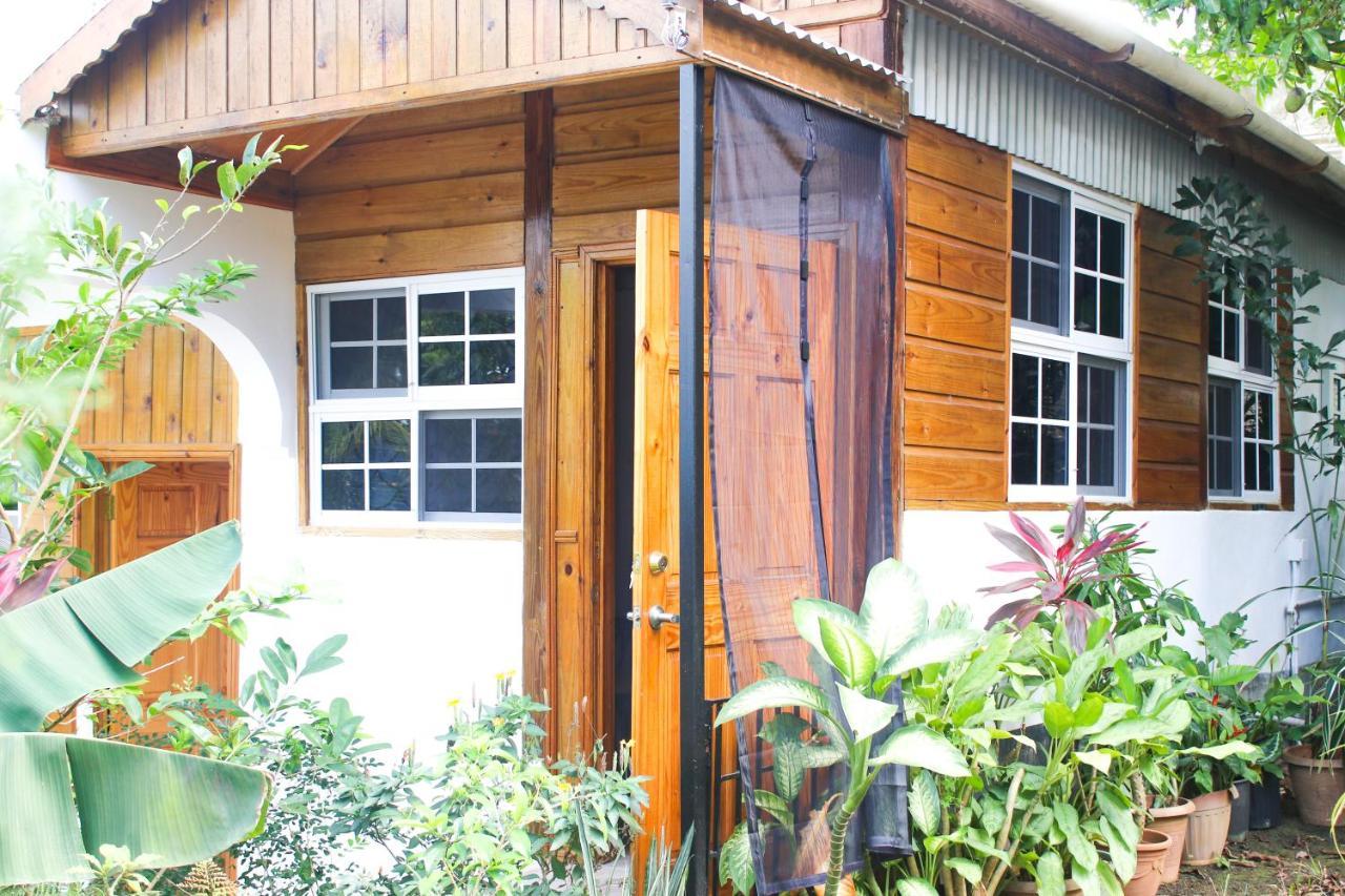 Van Villa Guesthouse Negril Extérieur photo